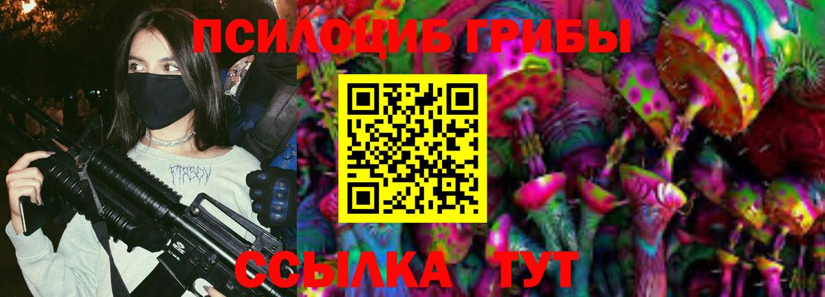 Псилоцибиновые грибы Psilocybine cubensis Ноябрьск