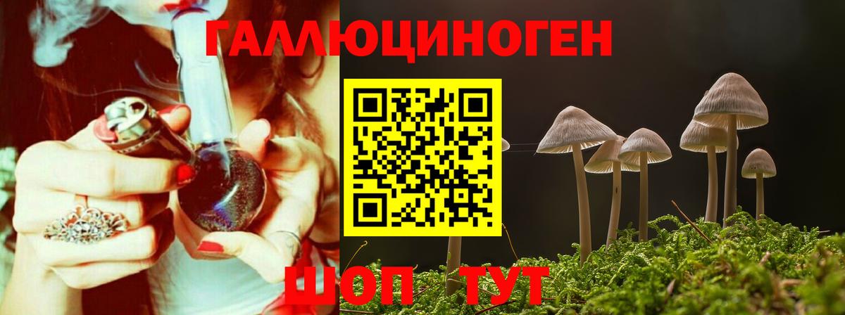 Псилоцибиновые грибы Cubensis  Вход с VPN  Ноябрьск 